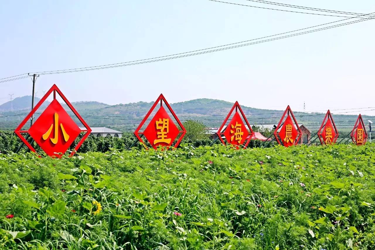 实拍鲅鱼圈“金色海洋”！和你的Ta来场“沉默”的邂逅……