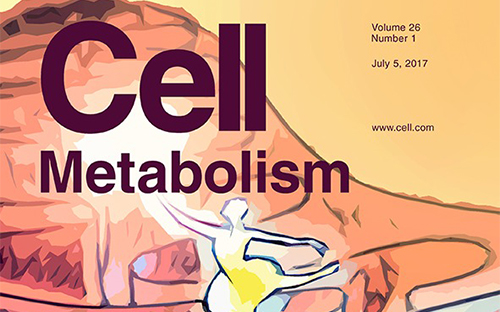 惊喜！Cell子刊：“30岁”的哮喘药或成糖尿病新疗法