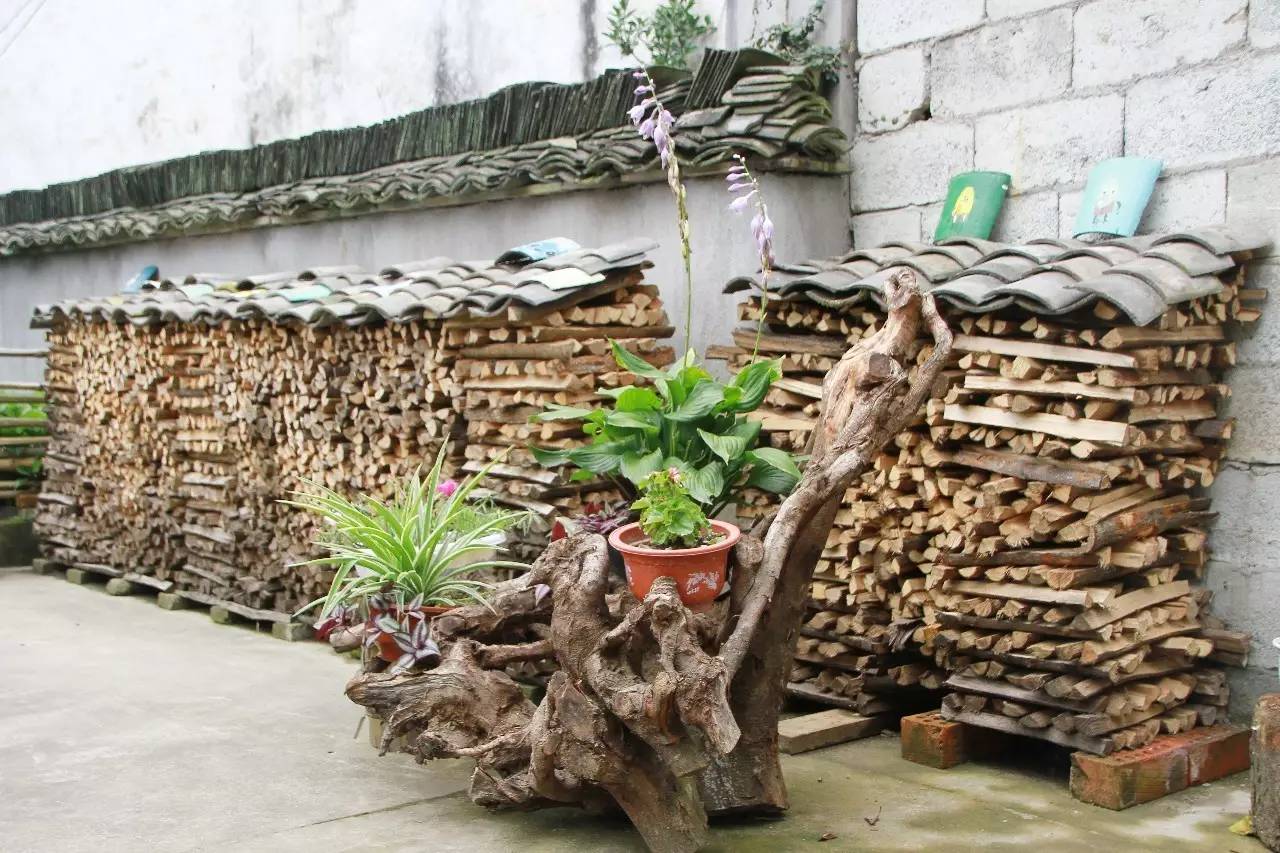 富阳的绿色发展政策,富阳新政持续发力