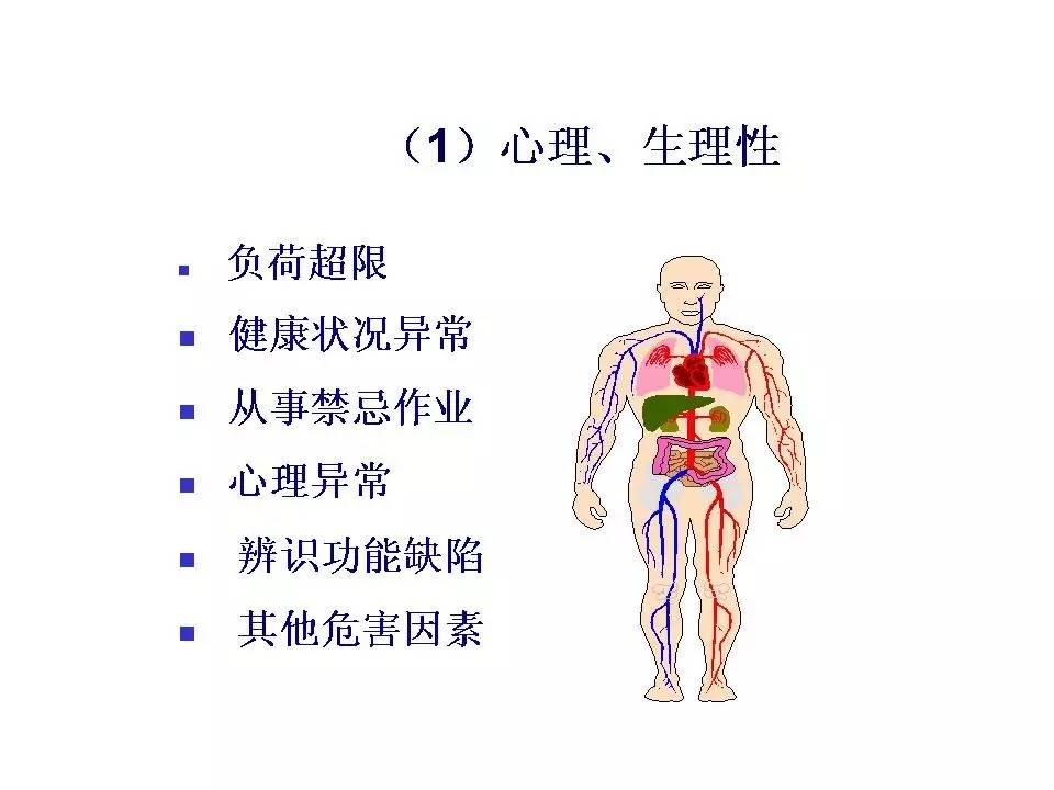 安全隐患ppt,内部控制与风险管理ppt