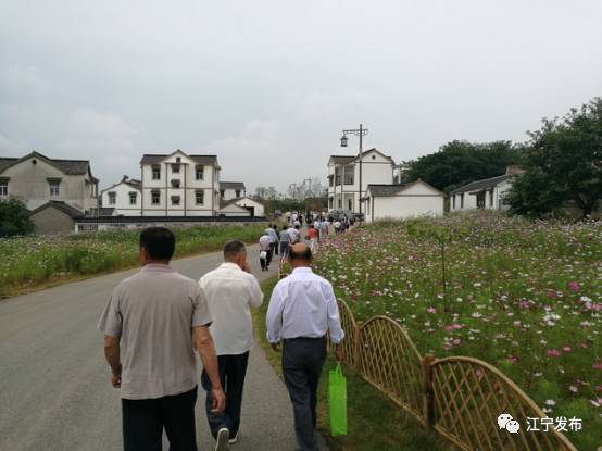 大走访,大走访大调研