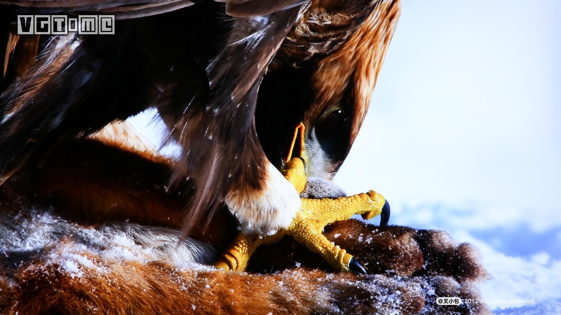 索尼最新75寸4k电视测评,索尼电视85寸电视系列深度评测