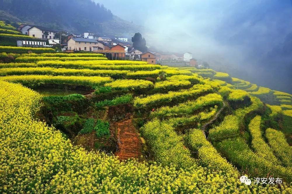 淳安中洲有一条“红色”的溪流，承包了小镇美景