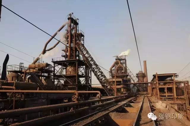 张钢张铁,张钢真实照片大全