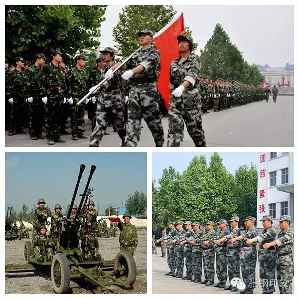 张钢张铁,张钢真实照片大全