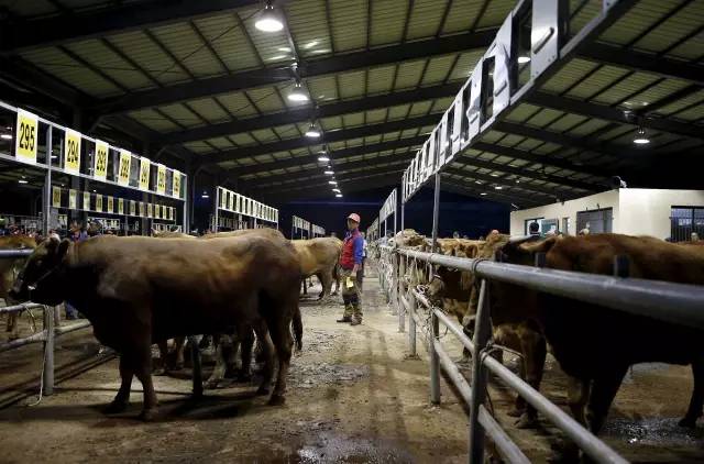 韩国人为什么不能吃肉呢,韩国人的饮食为什么这么贫乏