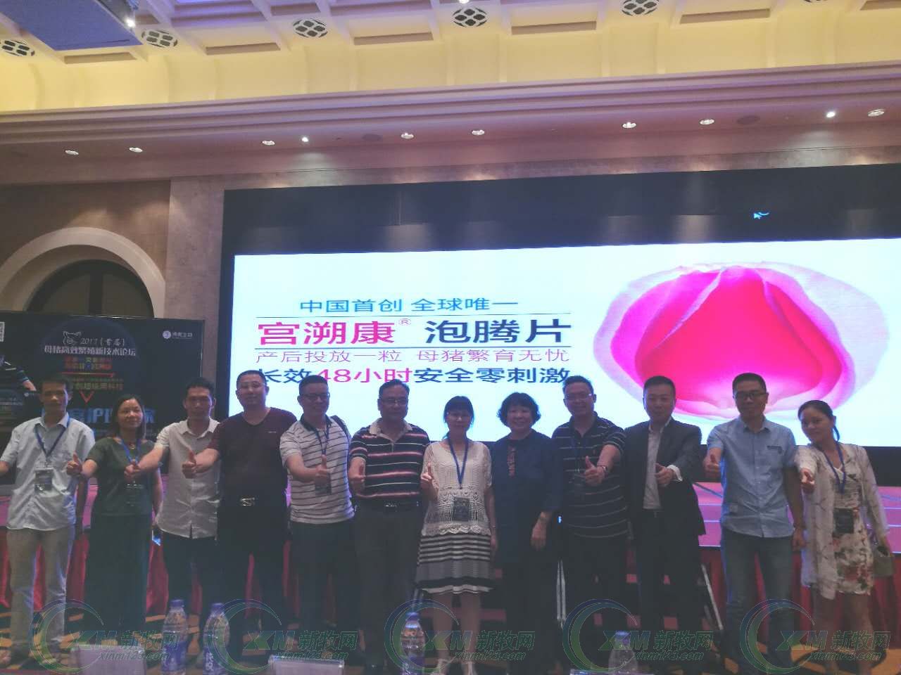 母猪产后消炎用头孢加林可霉素,母猪产后青链霉素