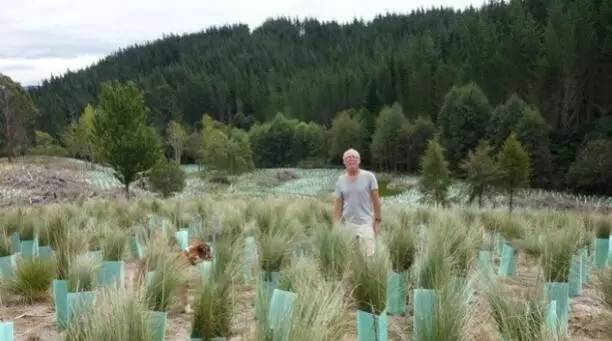 目击者称章莹颖曾在小镇兜售首饰；留学中介造假每年收入破亿；新西兰油价发达国家中最高；海航新制服被外媒盛赞