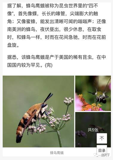 实拍鲅鱼圈“金色海洋”！和你的Ta来场“沉默”的邂逅……