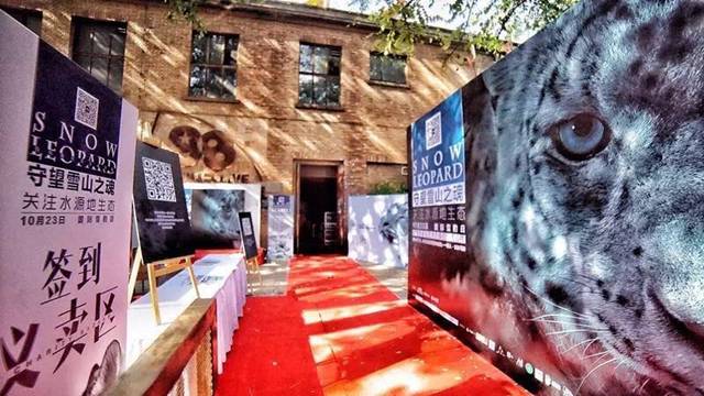 绿色环保公益创投项目有哪些内容,关于绿色环保创新创业的项目