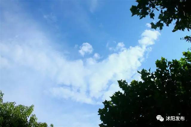 喏，送你一抹“沭阳蓝”……