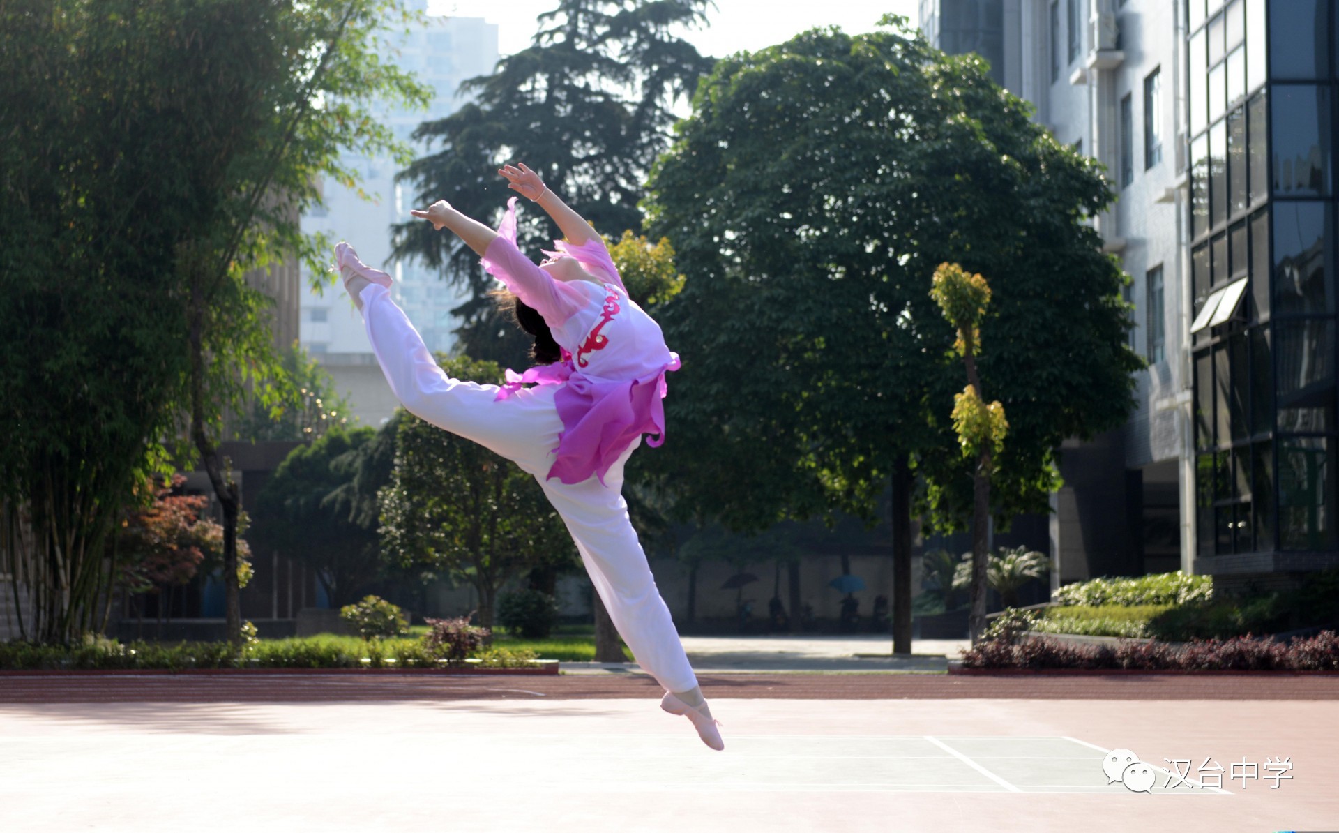 欢迎报考陕西省汉台中学,汉台中学优秀校友
