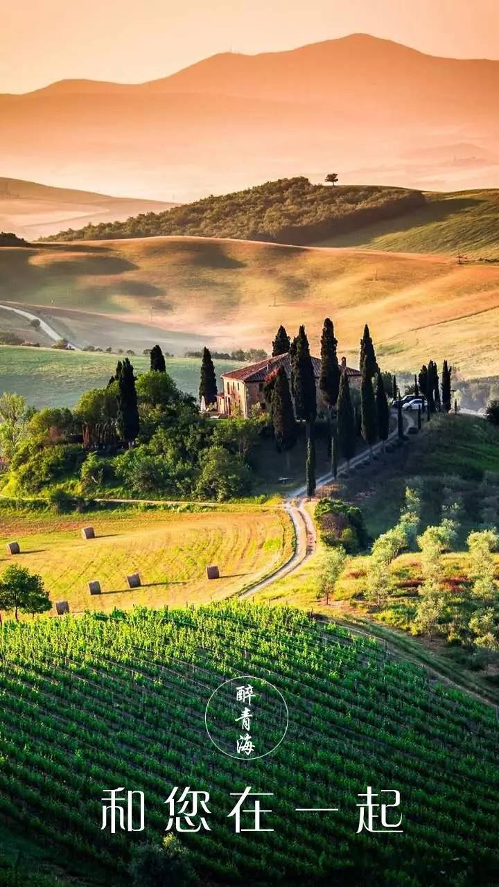 青海湖最省钱的攻略,青海湖最全攻略