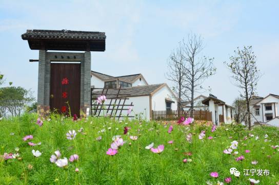 大走访,大走访大调研