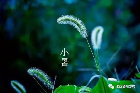 今日小暑!周末桑拿天!下周通州这些地方要停电!