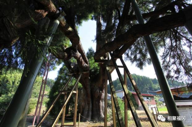 熊本美食大攻略,熊本城美食