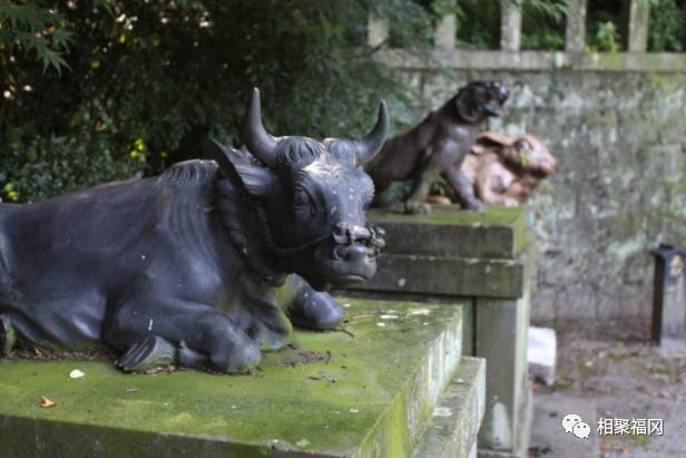 熊本美食大攻略,熊本城美食