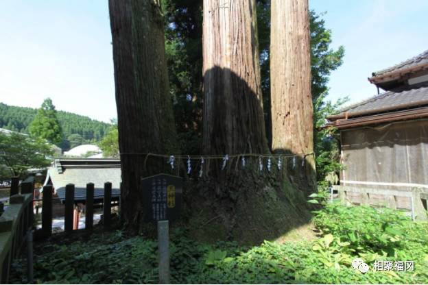 熊本美食大攻略,熊本城美食