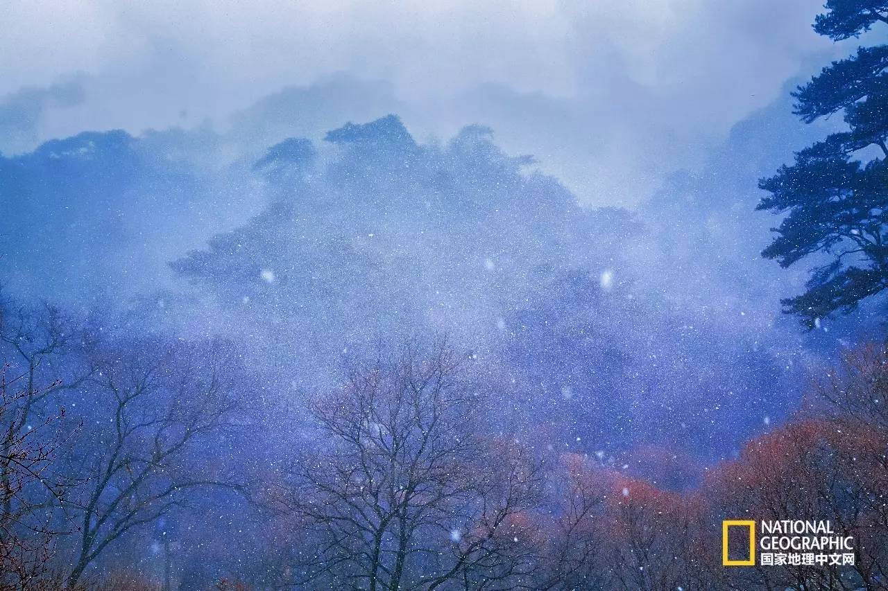 在家里免费蒸桑拿,泰山夏季避暑攻略