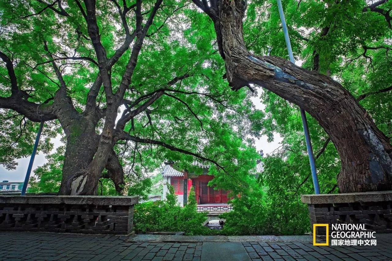 在家里免费蒸桑拿,泰山夏季避暑攻略