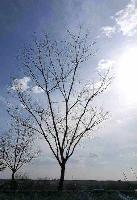 怎样应对退休生活,如何及时适应退休生活