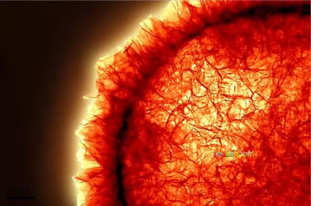 微观星球显微镜下的奇妙世界,显微镜下的奇妙世界视频