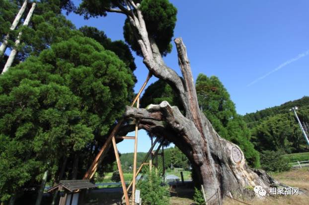 熊本美食大攻略,熊本城美食