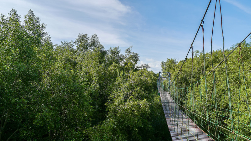 加拿大育空旅游攻略,加拿大5月份旅游攻略