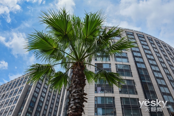 尼康d7500比d7100画质提升多少,尼康d7500和佳能90d哪个值得入手