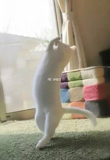 问问大家啊，如果对象要你一周内从世界8个国家给买礼物来证明你的爱，你……