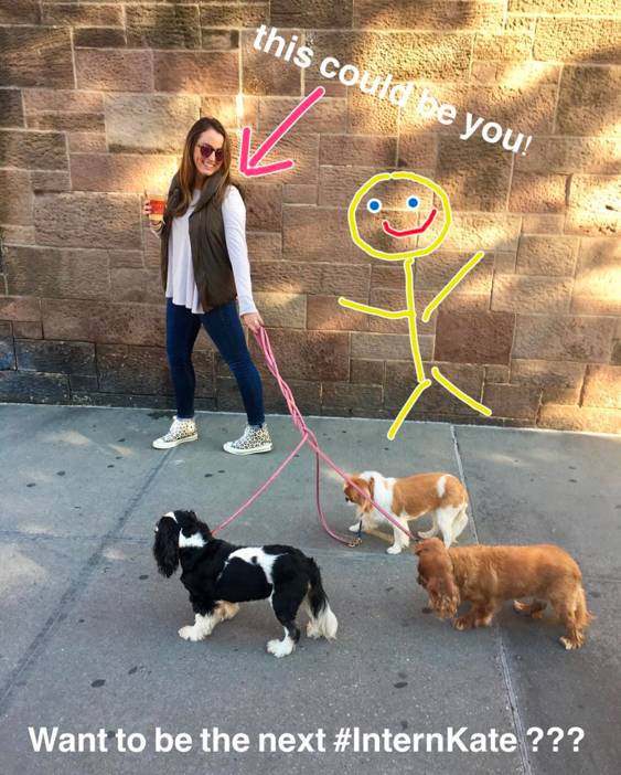 我没牙,我腿短,但我很红!