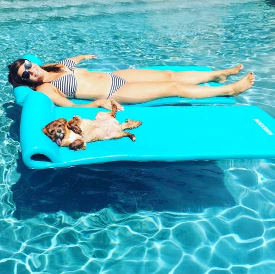 我没牙,我腿短,但我很红!