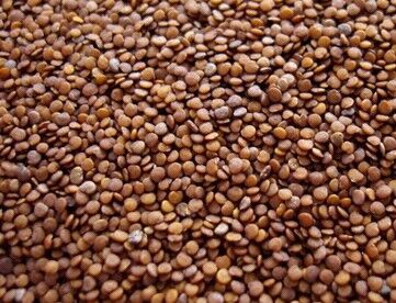 冰粉网红,网红冰粉高清图片