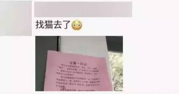 苏州吴中区寻猫启事粉色铃铛,丢猫寻猫启事苏州