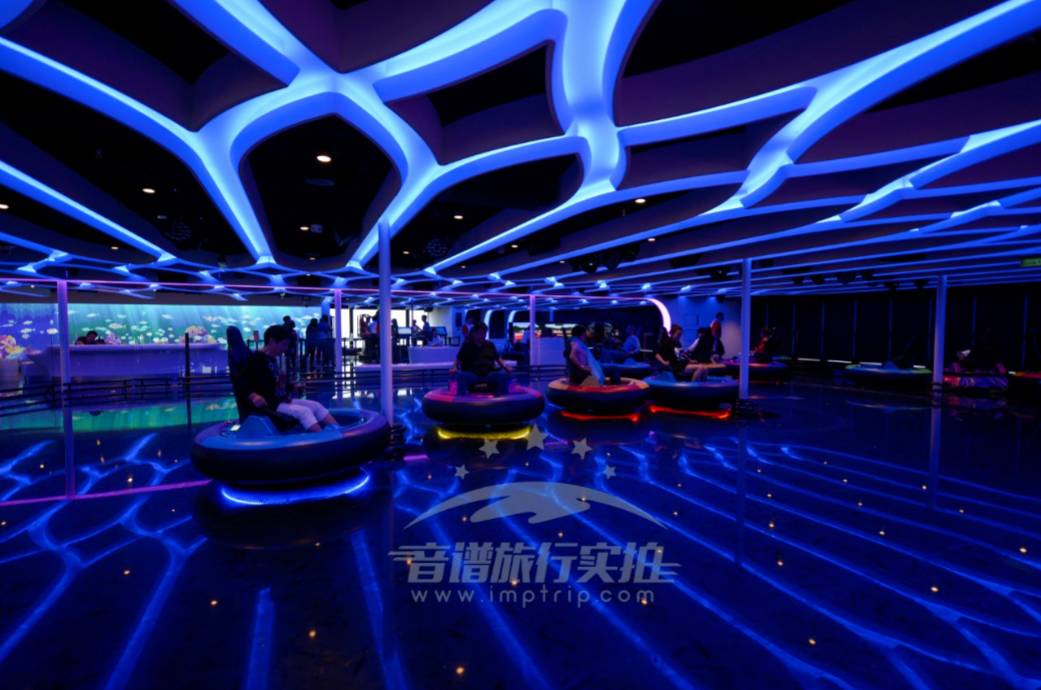 一夜卖空!这家邮轮火爆到疯抢售罄,背后原因到底是什么?(附最新收费,文末有福利!)