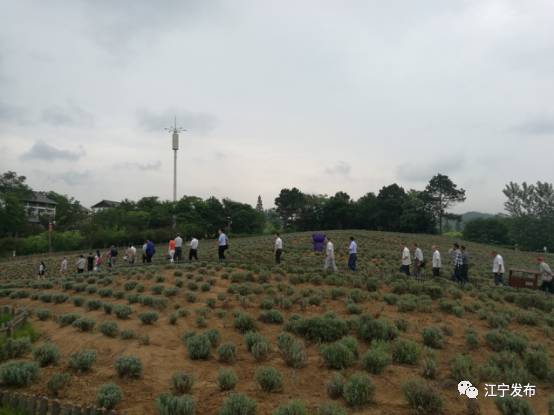 大走访,大走访大调研