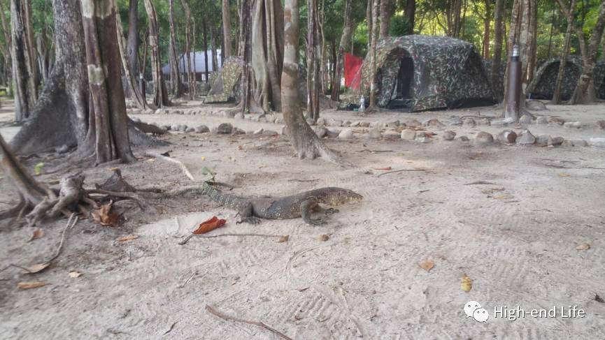 老炮旅行记北京,小白去泰国潜水攻略