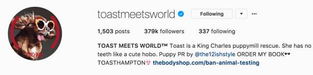 我没牙，我腿短，但我很红！