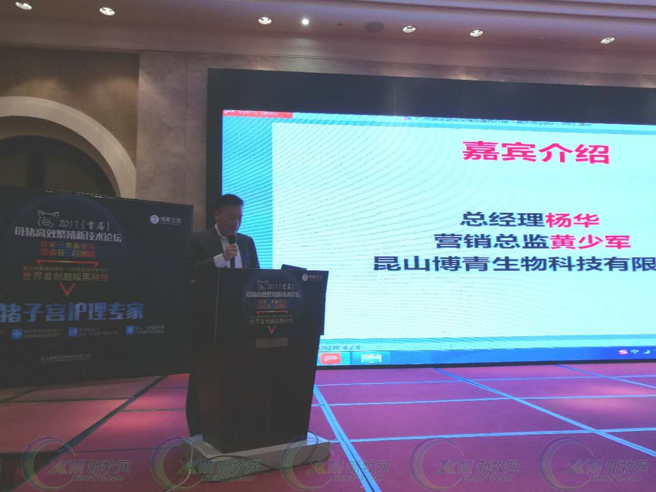 母猪产后消炎用头孢加林可霉素,母猪产后青链霉素