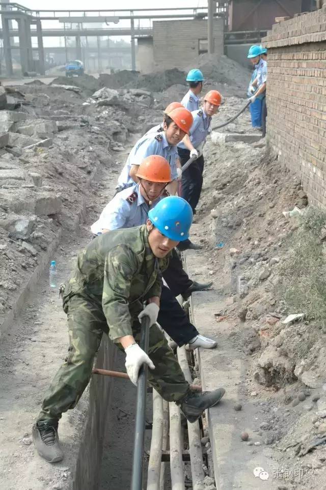 张钢张铁,张钢真实照片大全