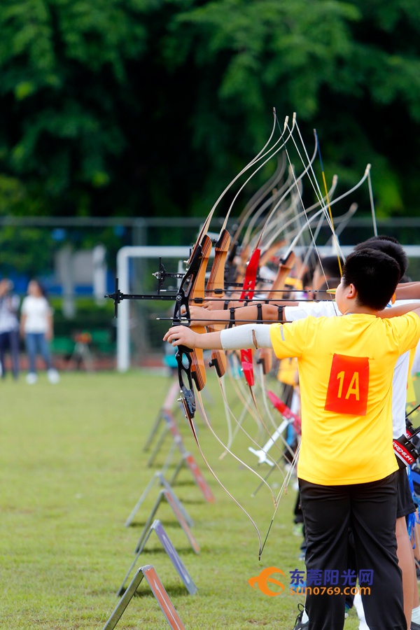 东莞市运会2023,东莞市第九届田径运动会