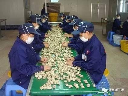 那些你不知道的原声,那些你不知道的精彩片段