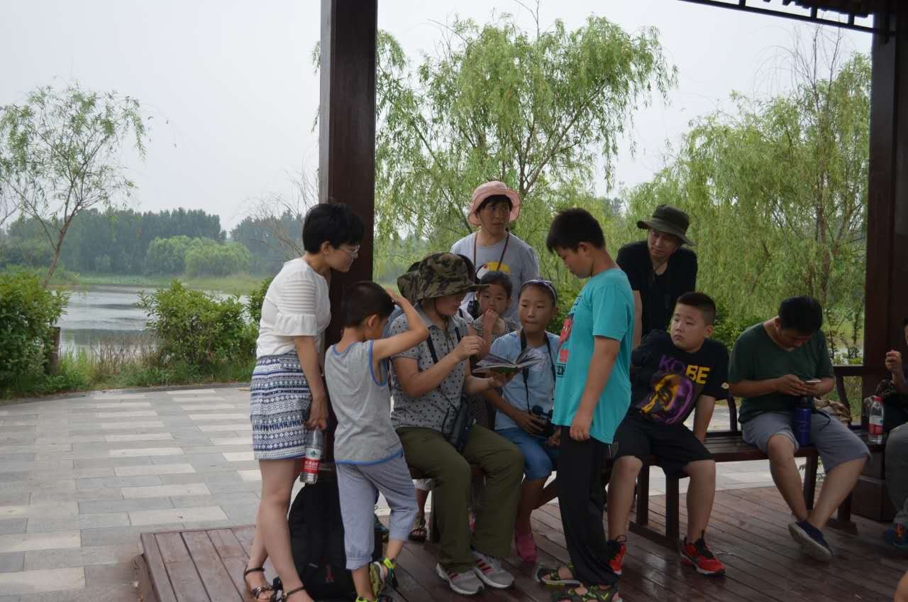 绿色环保公益创投项目有哪些内容,关于绿色环保创新创业的项目