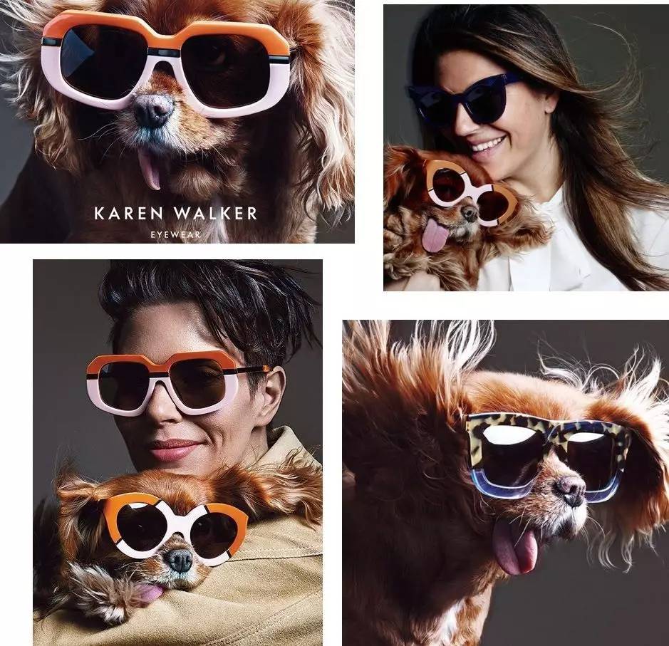 我没牙，我腿短，但我很红！