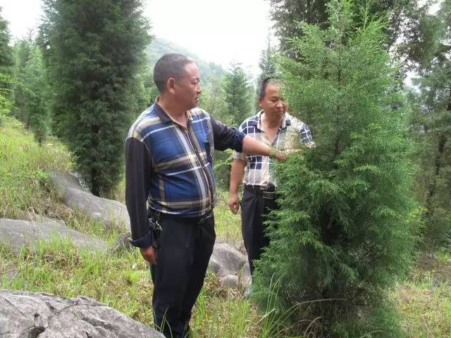 寻找优秀老支书｜敢向贫困“亮剑”的村支书——毕节市黔西县素朴镇古胜村*党**支部书记冯长书素描