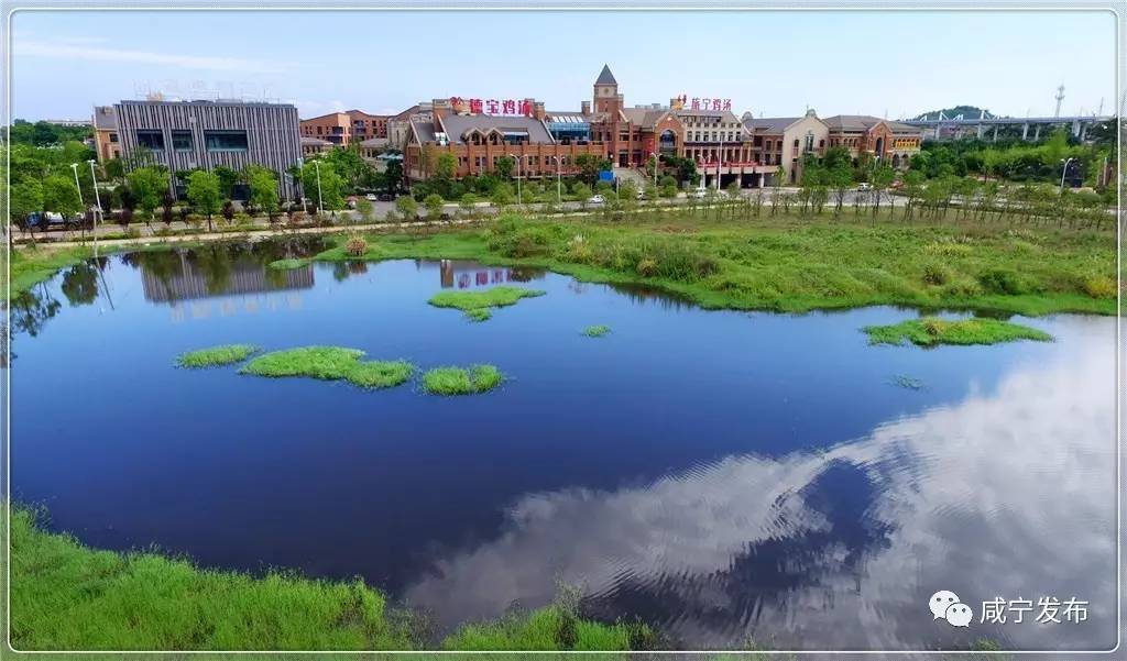 「聚焦」“一带一路”上升起一颗璀灿新星!咸宁的这个小镇将来不得了!