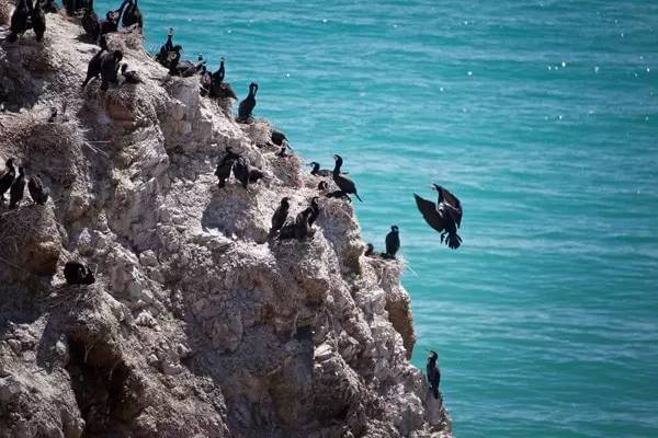 青海湖最省钱的攻略,青海湖最全攻略