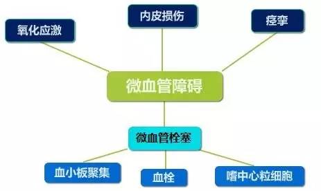 原来你从没好好了解过冠脉微循环