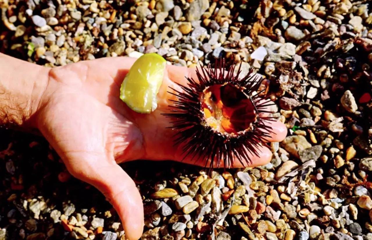 欧洲海边度假攻略,欧洲旅游十大骗人套路