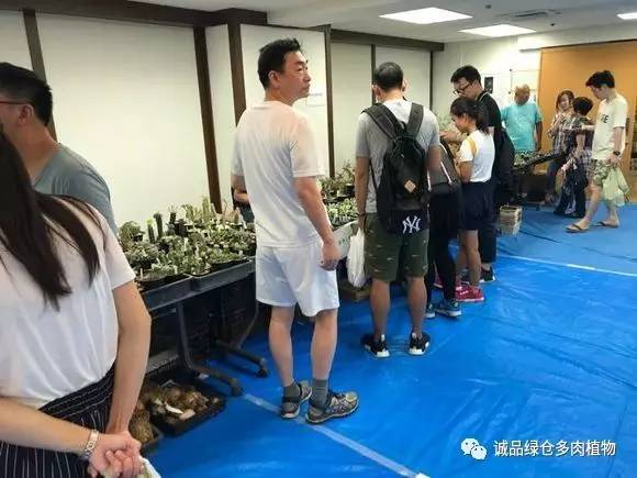 2022年国内多肉展览会,日本限时特卖会